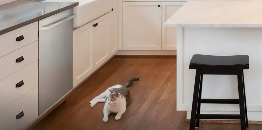 lg-dishwasher-LDNTH862S